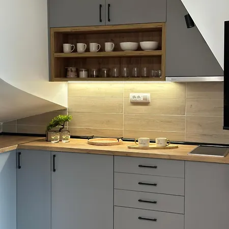 Apartment Planina Zove *