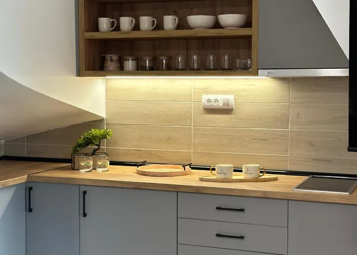 Apartament Planina Zove *